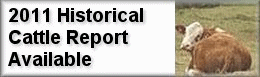 2007 Historical Live Cattle/Feeder Cattle Report - Shipping Now